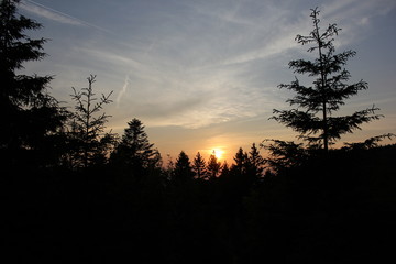 Sonnenuntergang im Schwarzwald