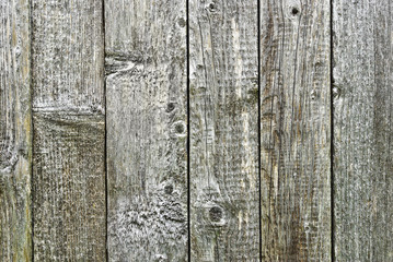 The texture of the old wooden boards.