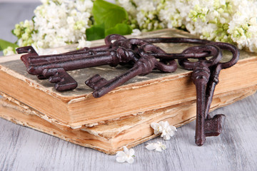 Beautiful composition with old keys and old books