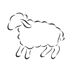 Vector silhouette of sheep