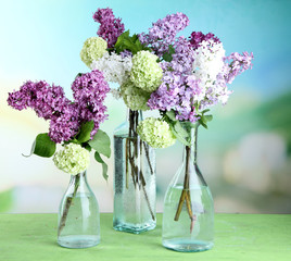Beautiful spring flowers in glass bottles,