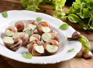 snails with garlic butter