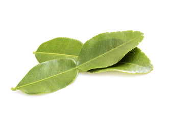 kaffir lime leaf