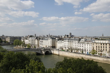Naklejka premium La Seine à Paris