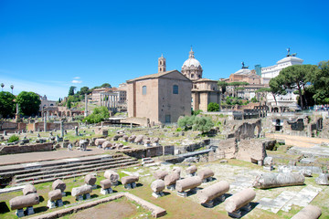 Obraz premium Curia Iulia, Imperial Forum, Rome, Italy