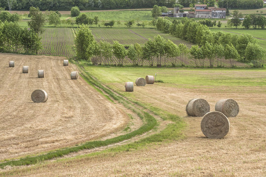 Sentiero di campagna e rotoballe