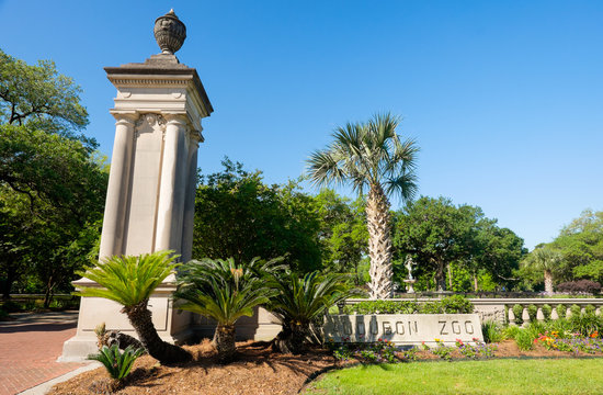 Audubon Zoo