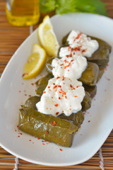 Dolma with yogurt