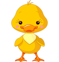 Farm animals. Duck