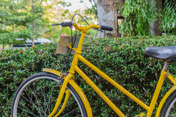 Fototapeta na wymiar Yellow bicycle
