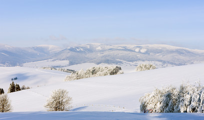 Jeseniky Mountains in winter, Czech Republic