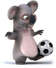 Koala