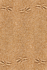 Sand background with bird traces