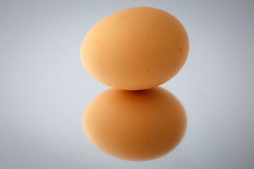 Close up of an egg isolated on gray background reflect