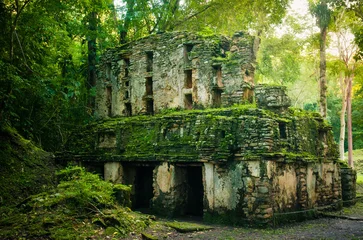Poster Mayan ruins © kot_obormot