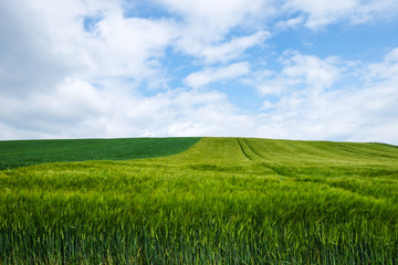 Fototapeta premium Landschaft Landwirtschaft