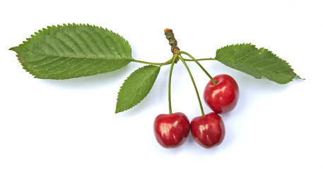 Sweet ripe cherry with leaf