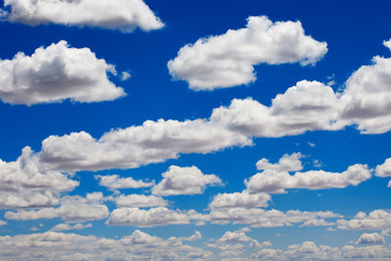 Blue Sky and puffy clouds