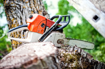 professional chainsaw on pile of fresh cut wood or timber