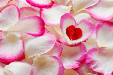 Obraz na płótnie Canvas Pink rose blossom and love heart.