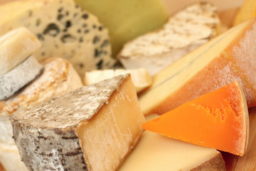 Various types of cheese
