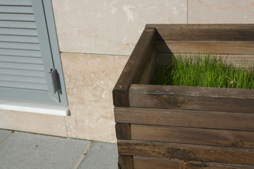 Wooden planter with grass