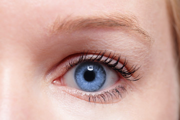 Fototapeta na wymiar woman blue eye