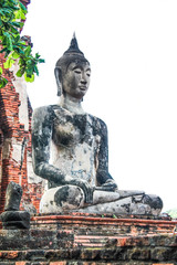Buddha statue in the temple,Ayuthaya,Thailand