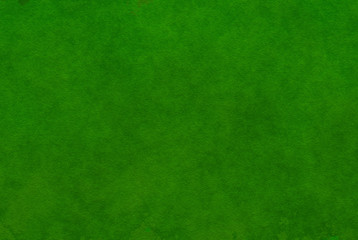 Top view of lush green grass texture