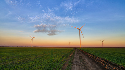 Fototapeta na wymiar Wind turbines at sunset on green field