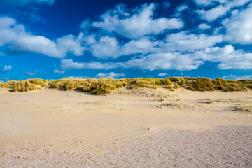 Strandlandschaft