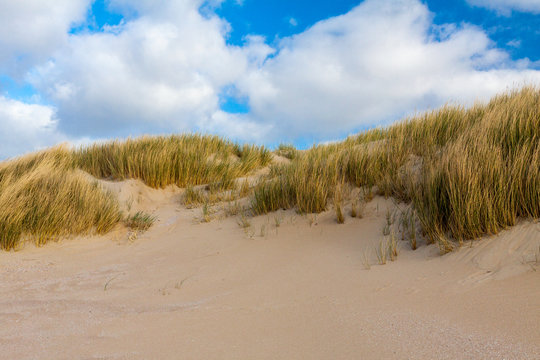 Strandlandschaft
