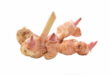 galangal on white background © evegenesis