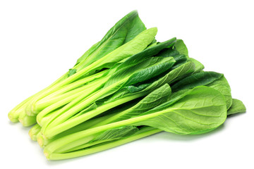 Japanese mustard spinach