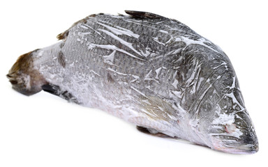Frozen Barramundi or Koral fish of Southeast Asia © Swapan