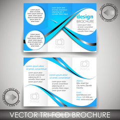 Tri-fold corporate business store brochure