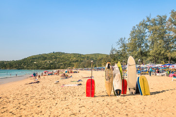 Surfboards at a tropical beach - Extreme sport body boards