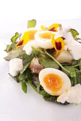 quail egg with potato and watercress flower salad 