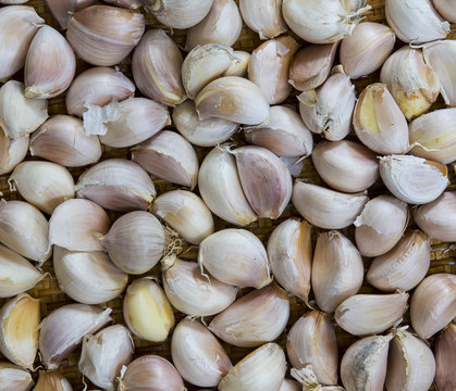 garlic