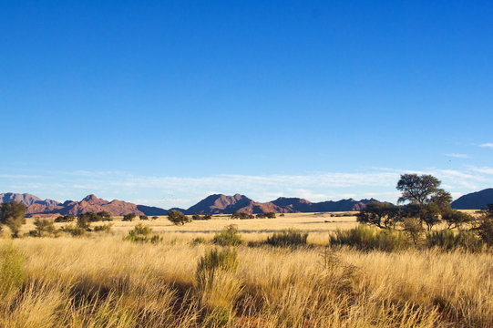 African Savanna Landscape, Namibia, South Africa