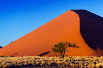 Fototapeta na wymiar Sunset dunes of Namib desert, Sossusvlei, Namibia, Africa