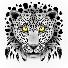 Naklejka premium White Leopard with Yellow Eyes