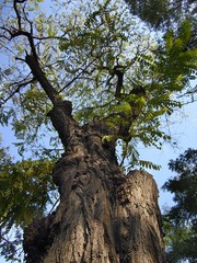 The image of Beijing, Asia