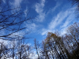 The image of travel destinations