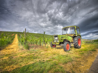 traktor weinberge 4