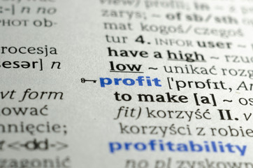 Word profit macro