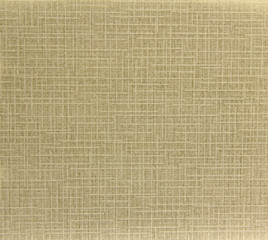 Golden background with mash pattern