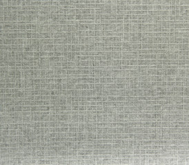 Fototapeta na wymiar Gray background with mash pattern