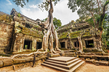 Ta Prohm Temple, Angkor, Cambodia