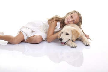 golden labrador dog